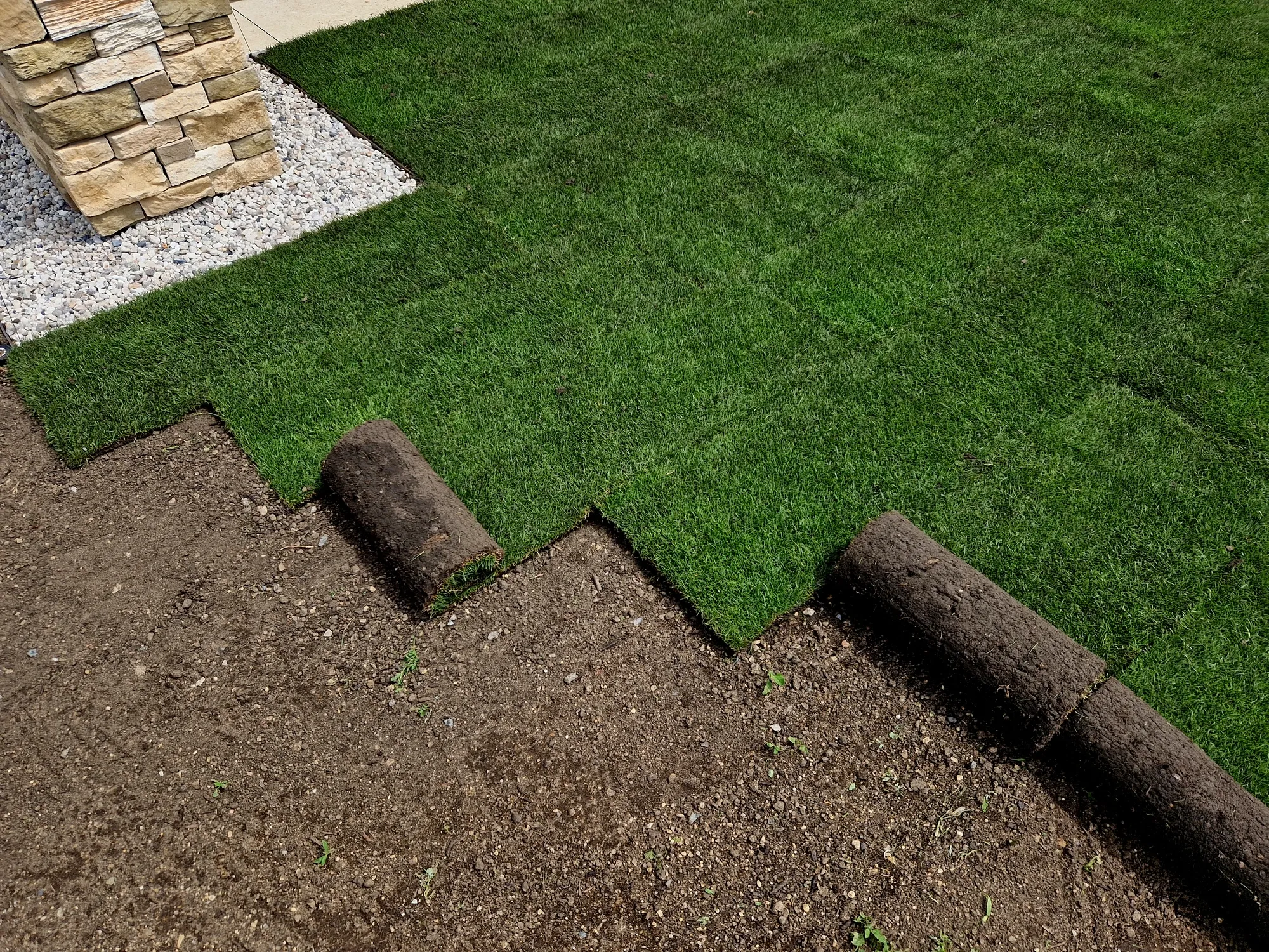Sod + artificial turf